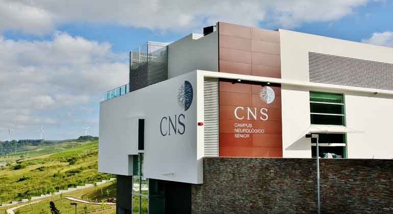 CNS